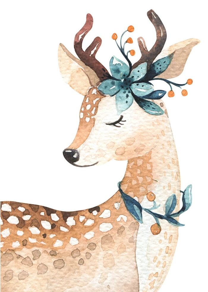 Deer