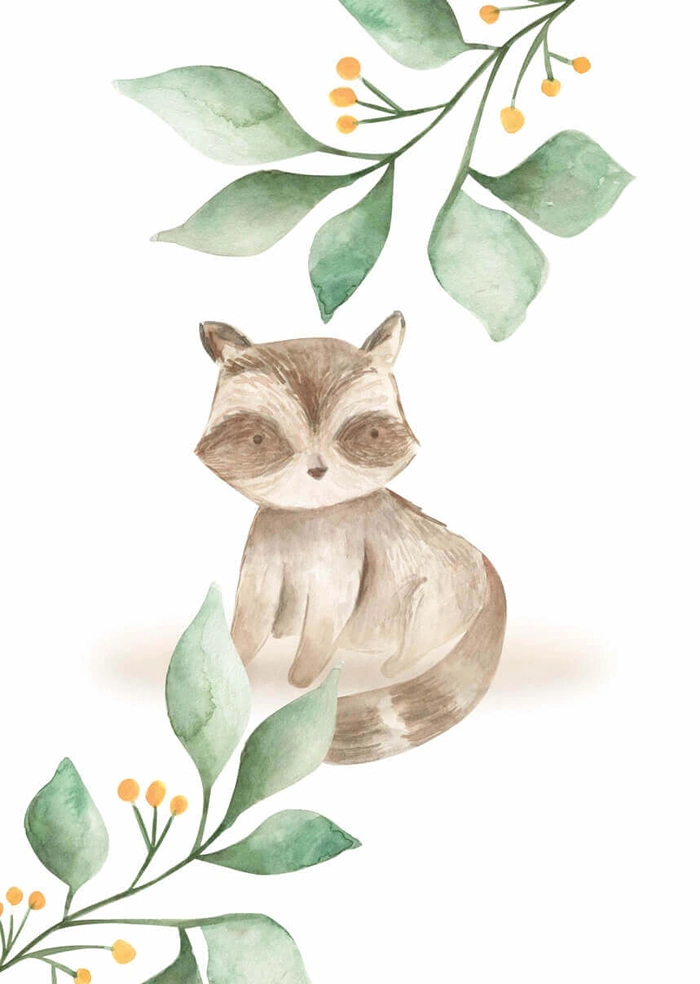 Little raccoon
