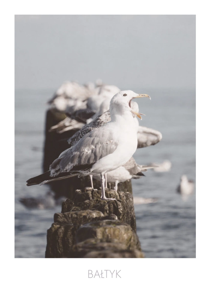 Baltic