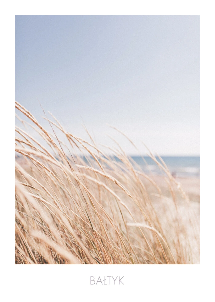 Am Meer