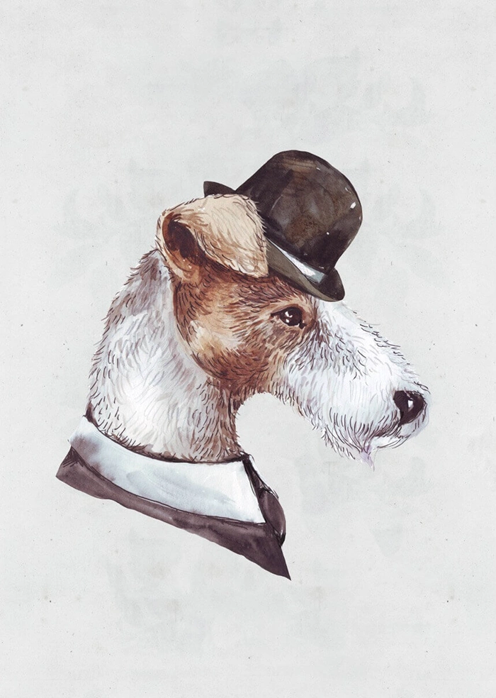 Gentleman dog