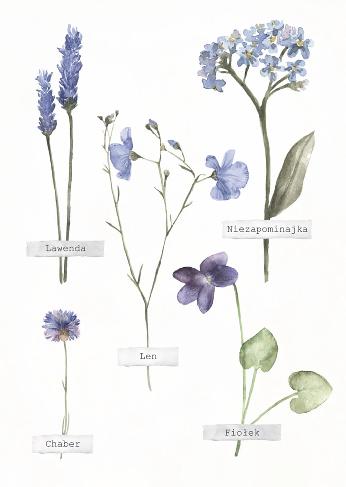 Herbarium