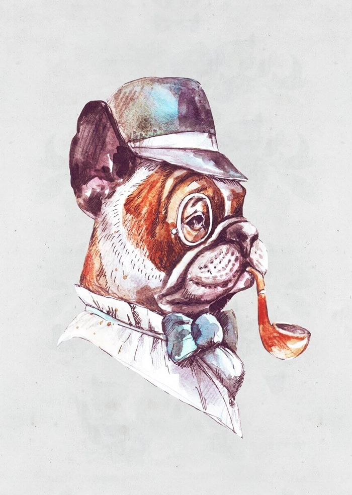 Gentleman dog