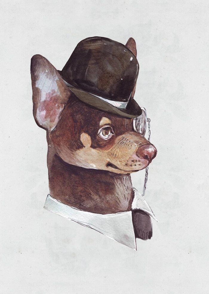 Gentleman dog
