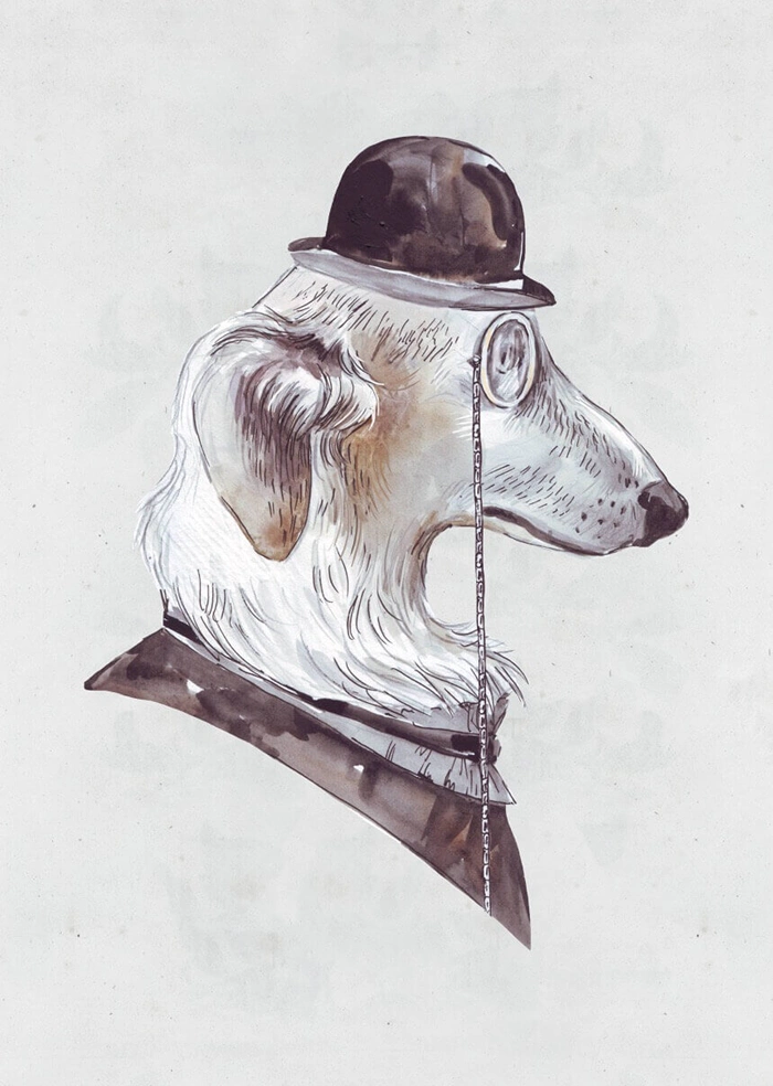 Gentleman dog