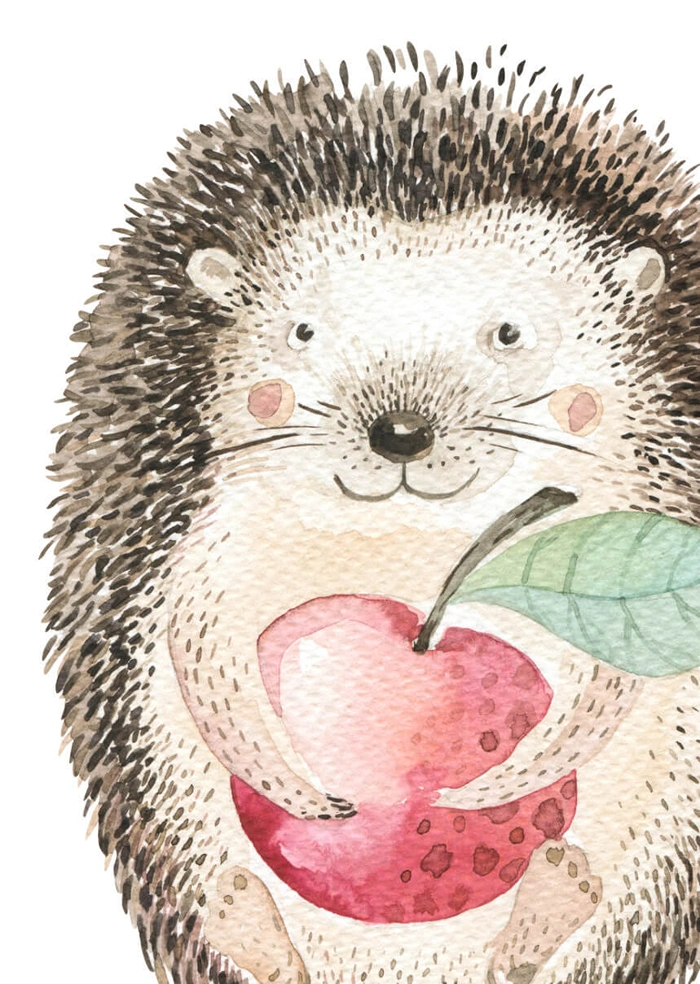 Hedgehog