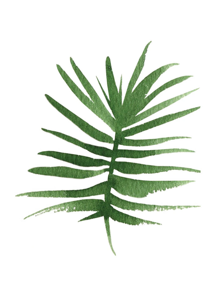 Palme