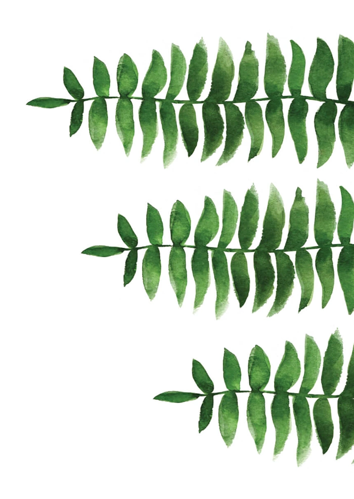 Fern