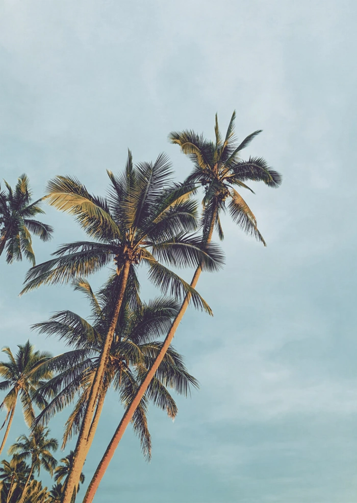Summer vibes