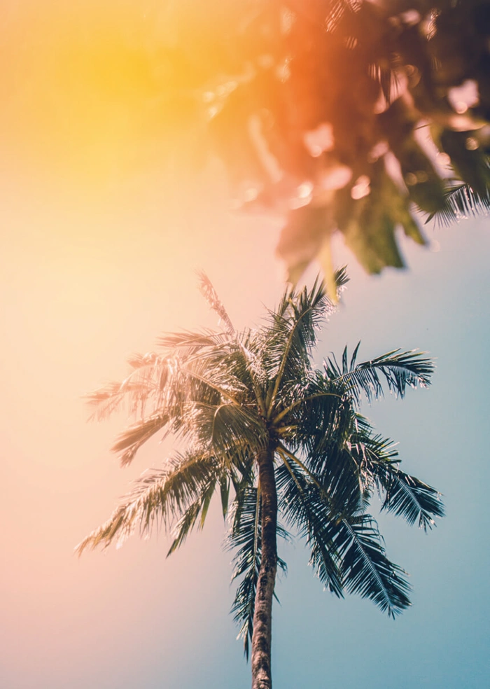 Sommer
