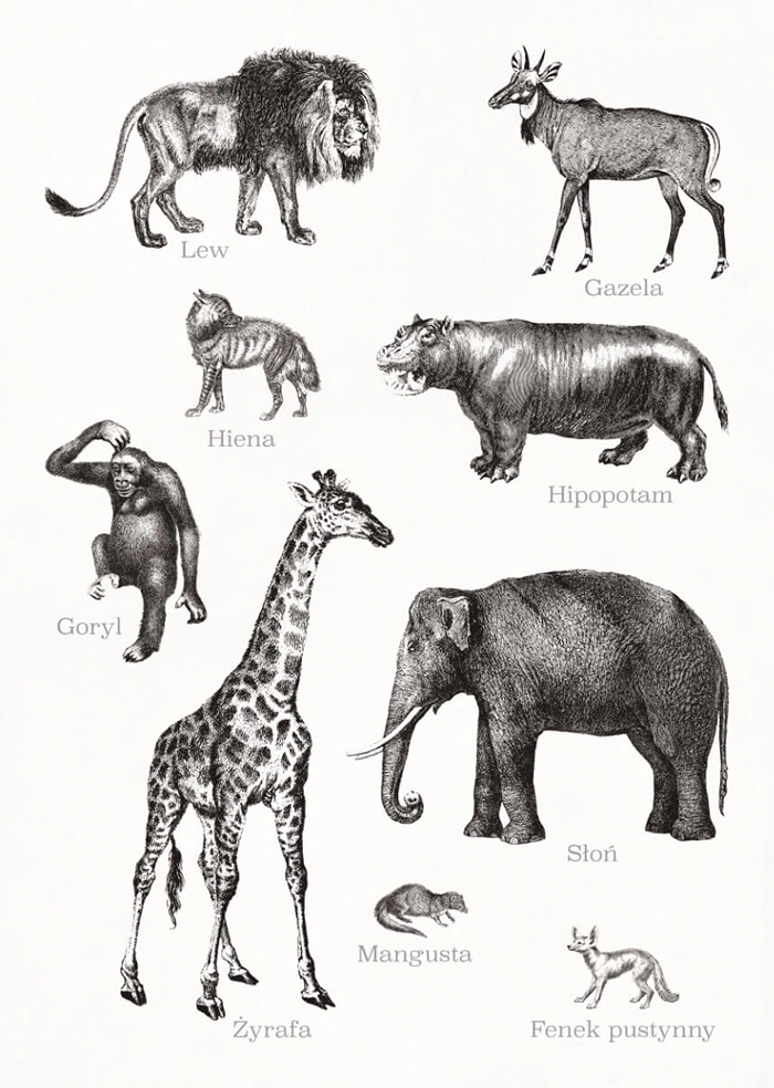 In Africa