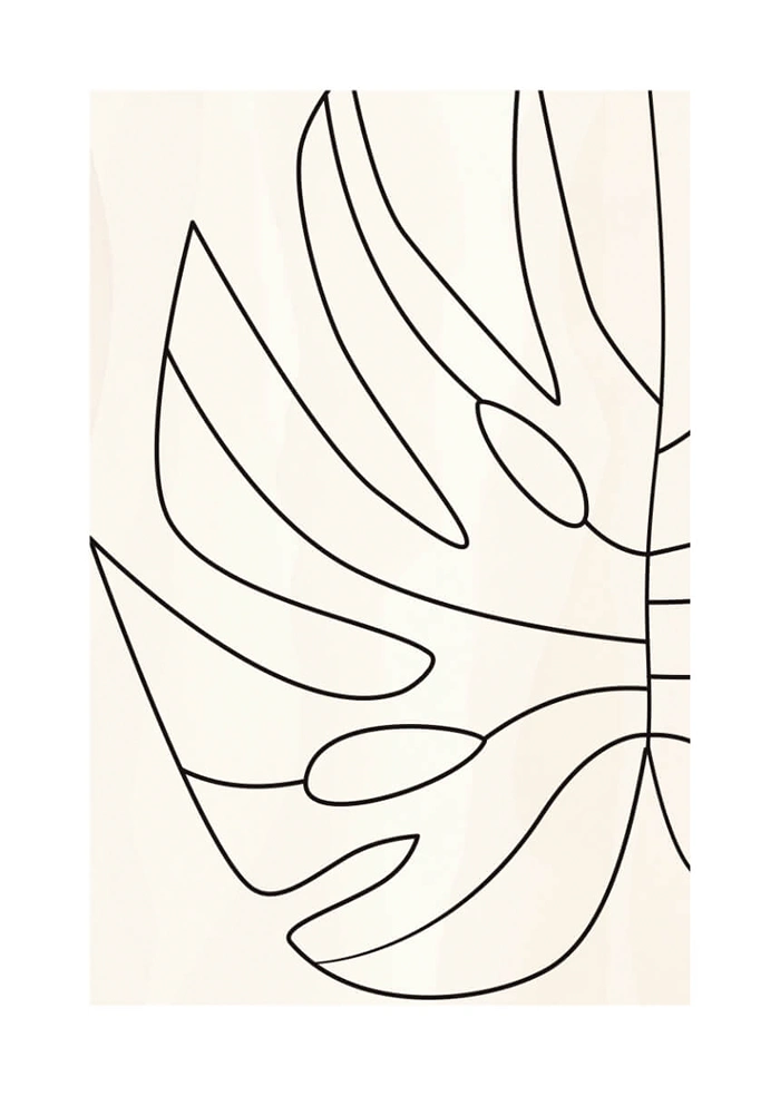 Monstera