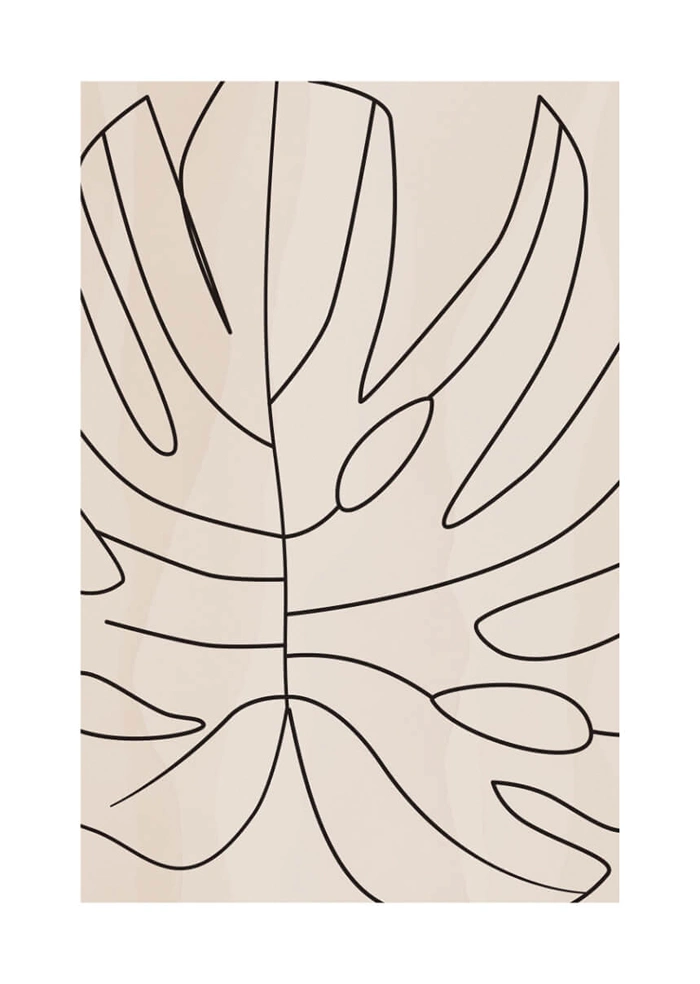 Monstera