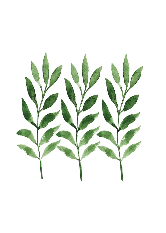 Olive branches