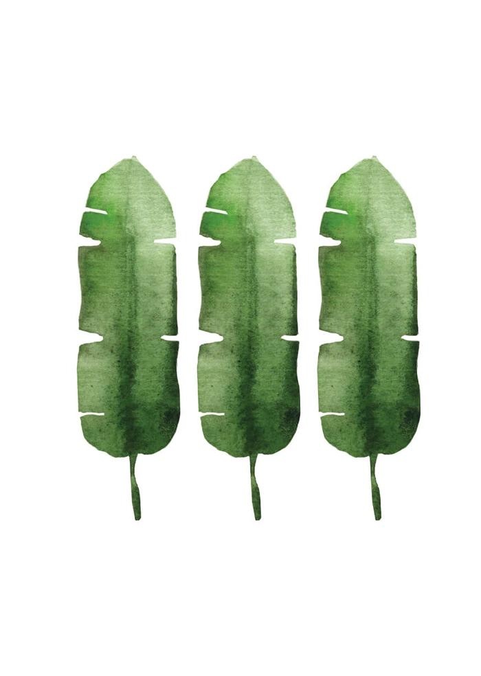 Leaves