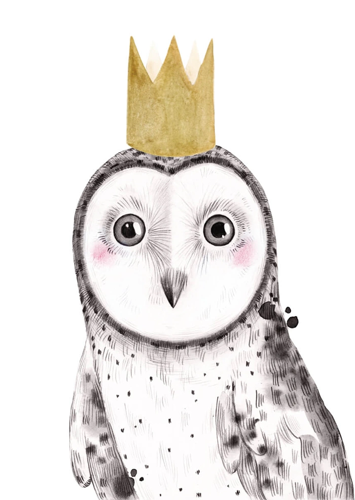 Owl