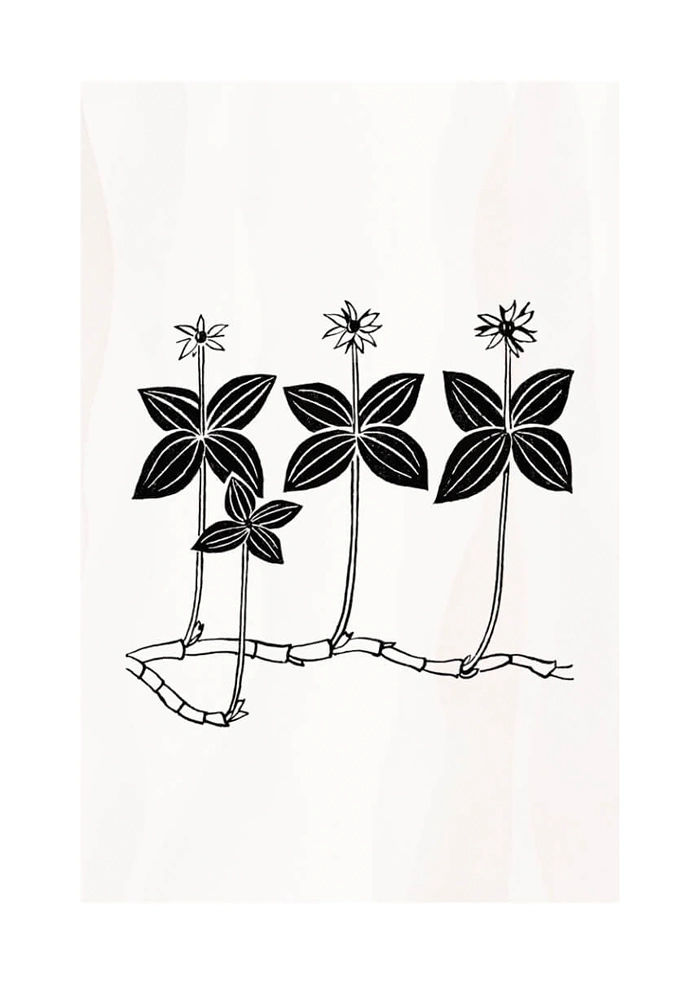 Blume