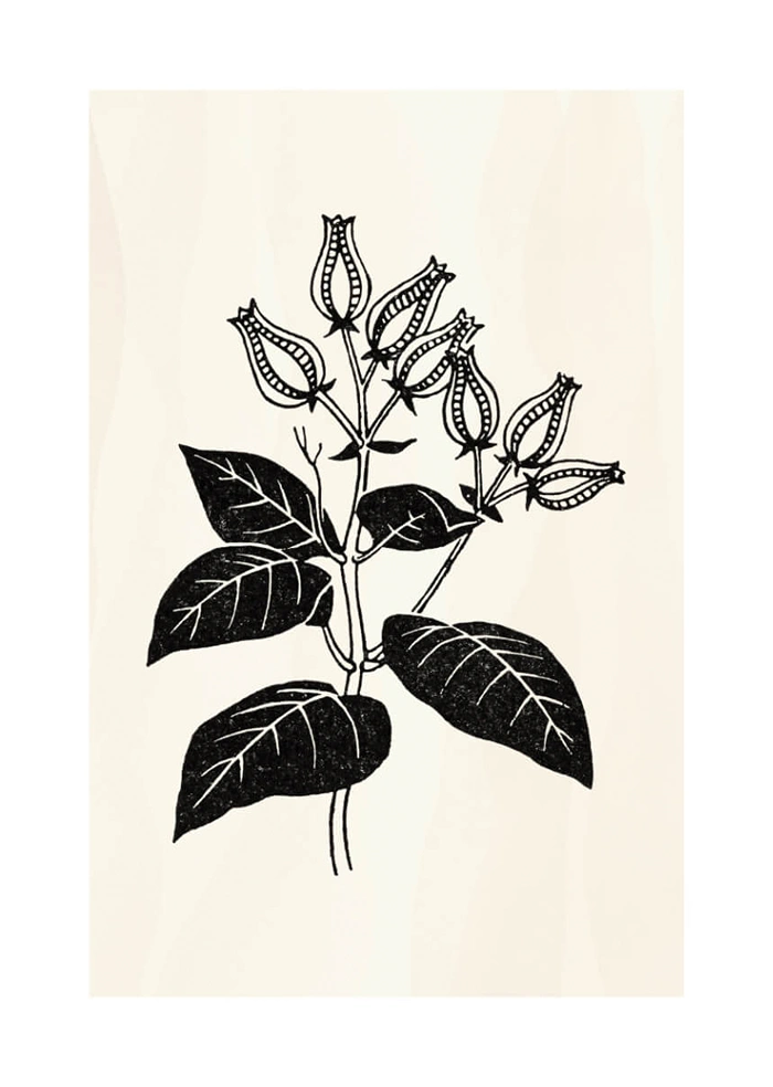 Blume