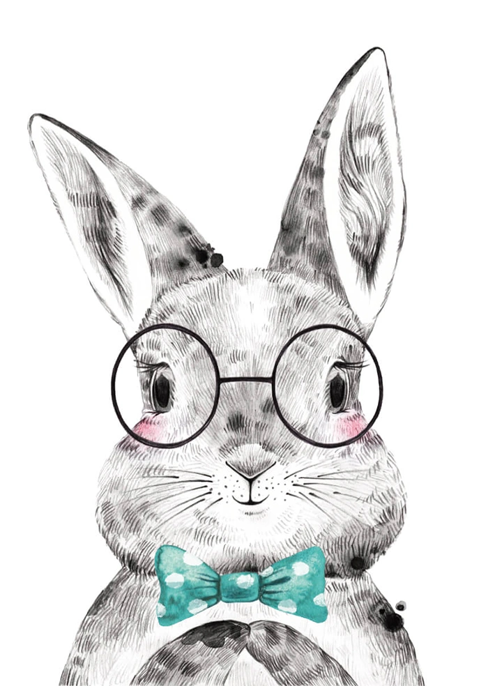 Rabbit