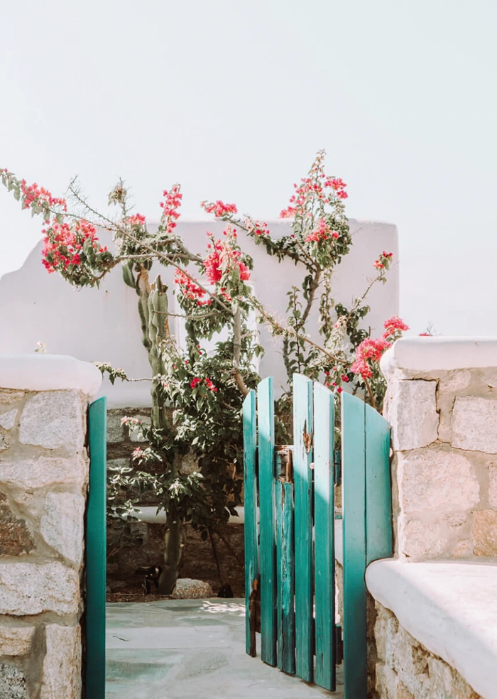 Magic Greece