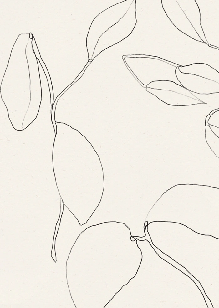 Blumenlinie 01