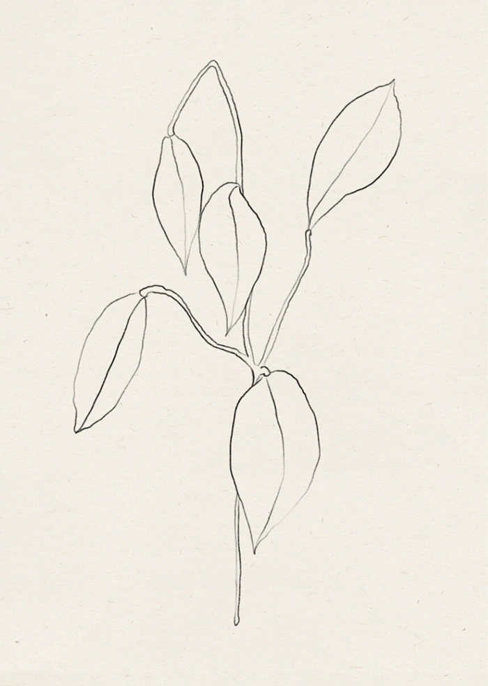 Floral line 02