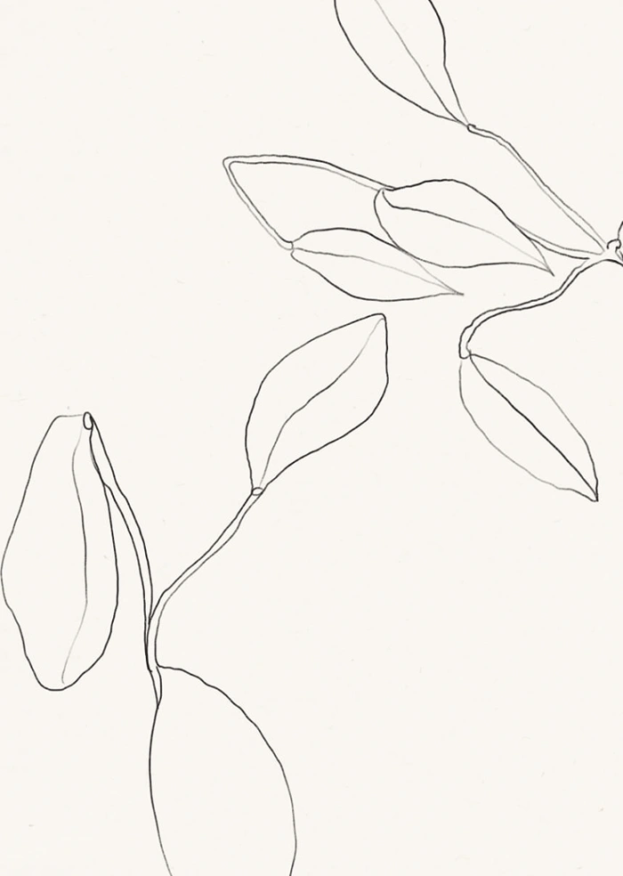 Floral line 03