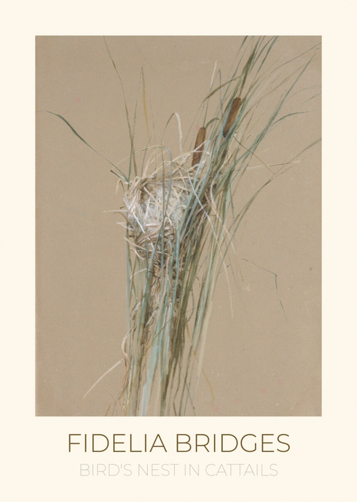Nest