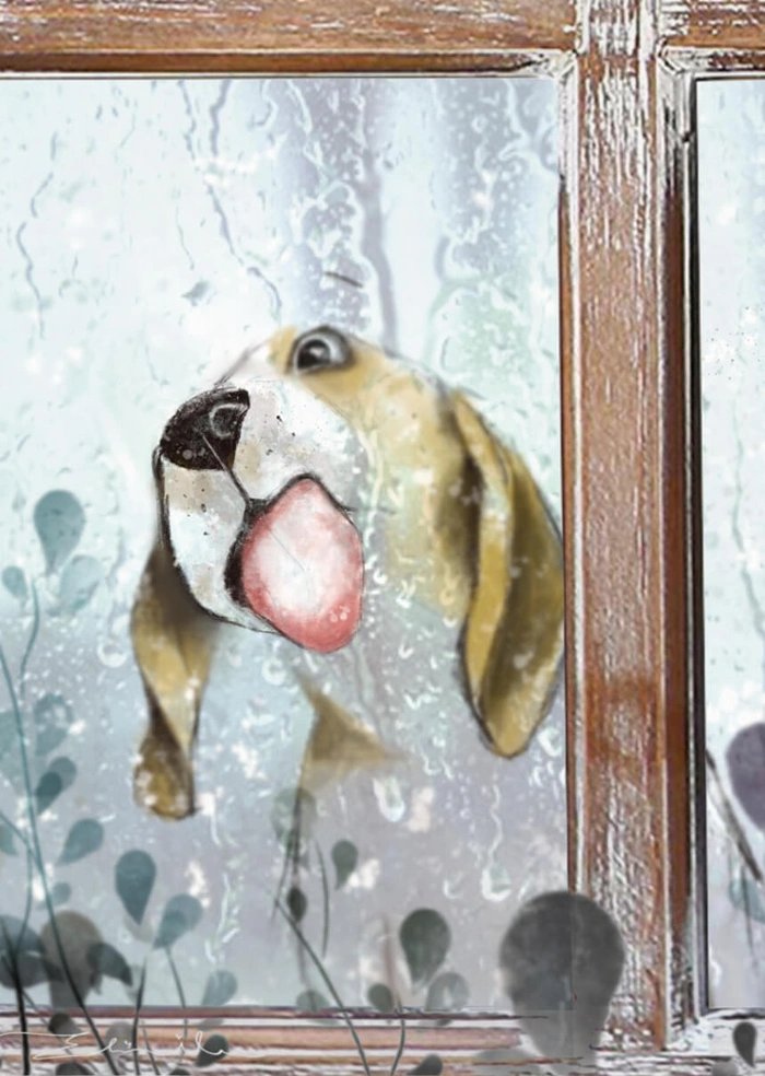Dog
