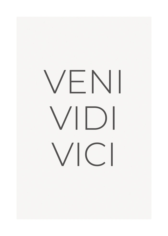 Veni Vidi Vici