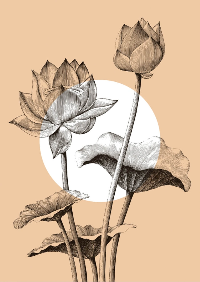 Lotus flower