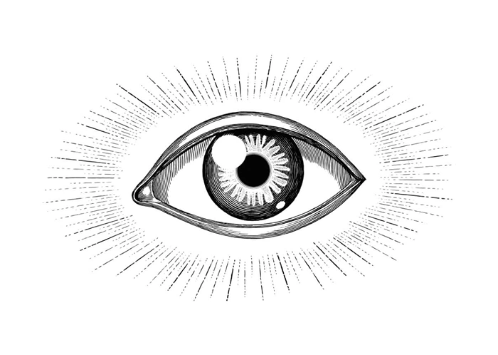 Auge