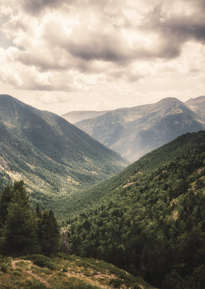 Berge