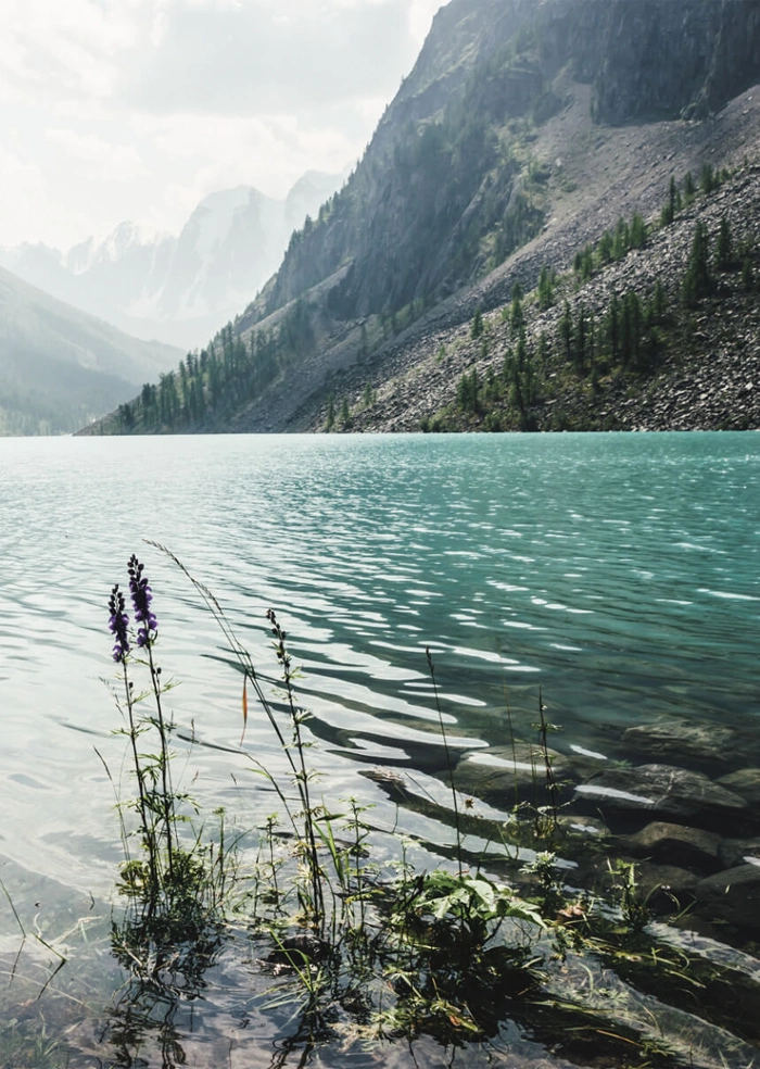 Bergsee