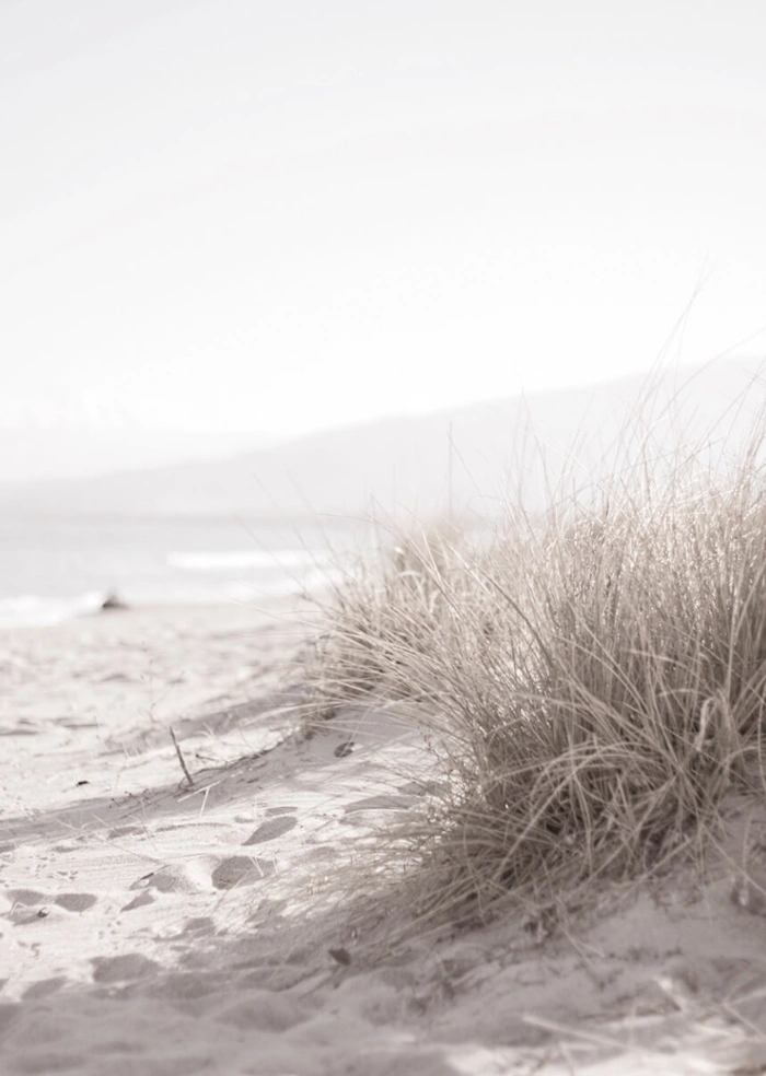 Am Meer