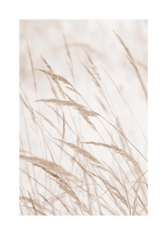Gras