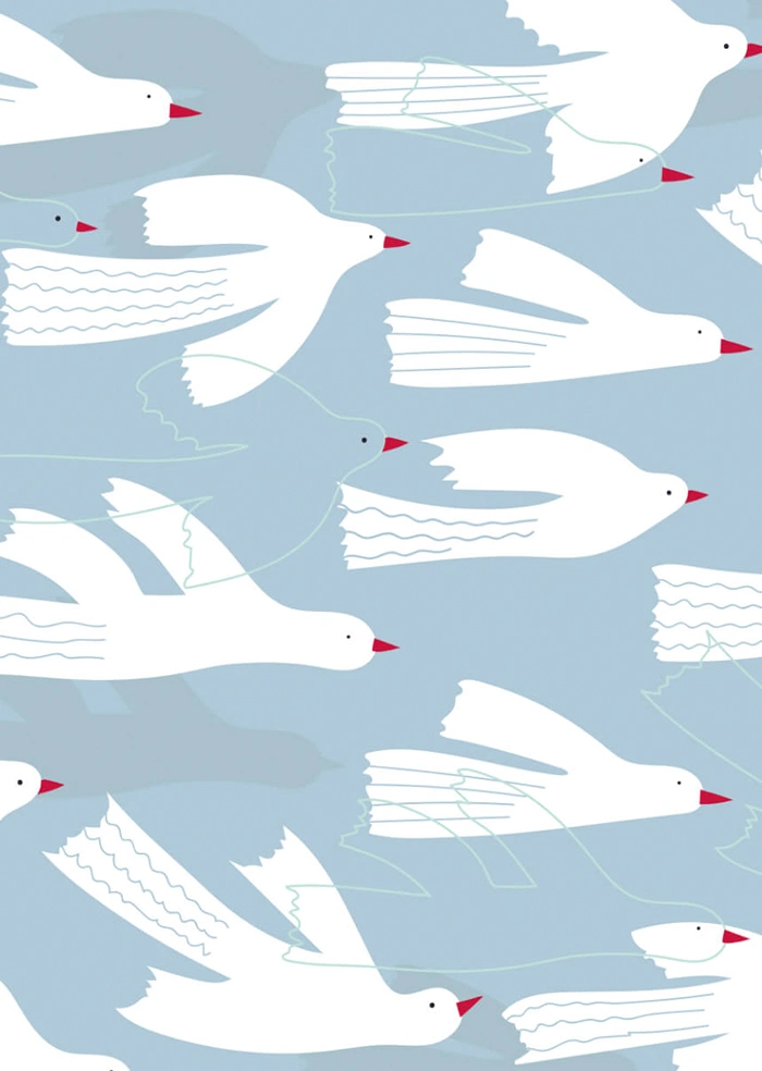 Birds