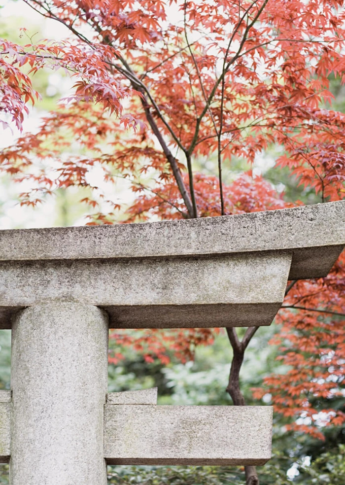 Torii