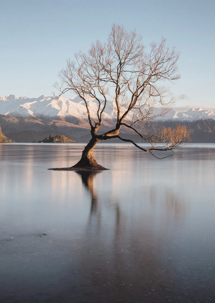 Wanaka