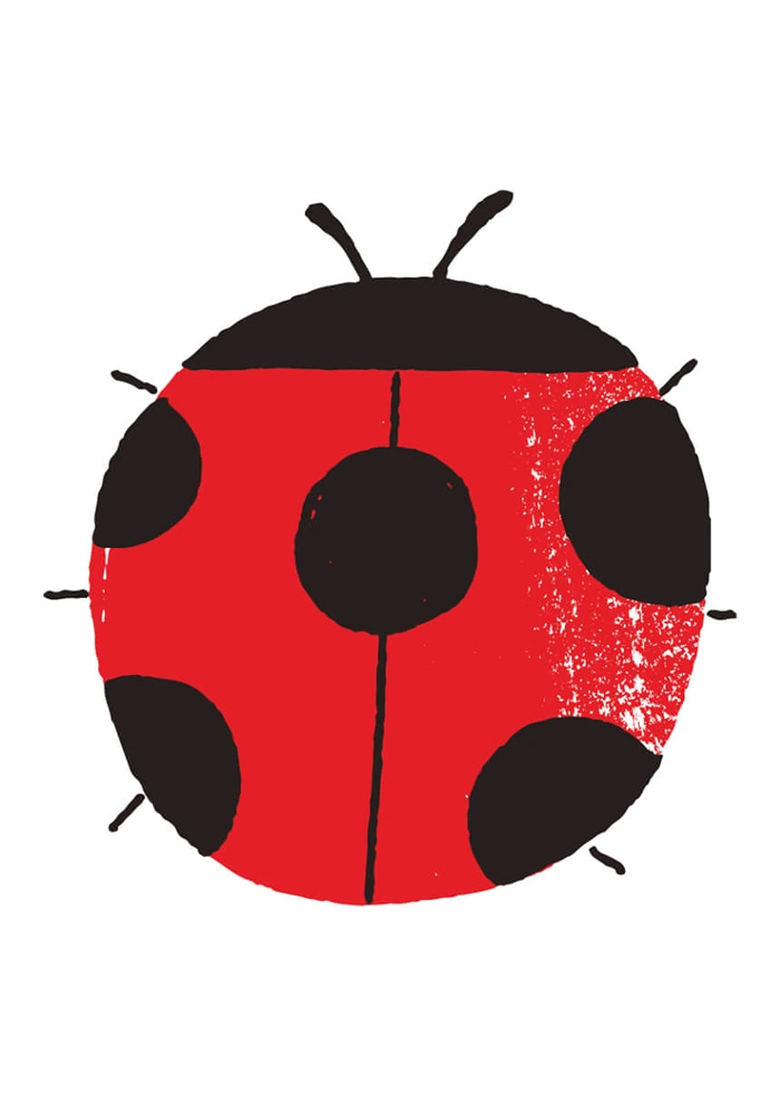 Ladybird