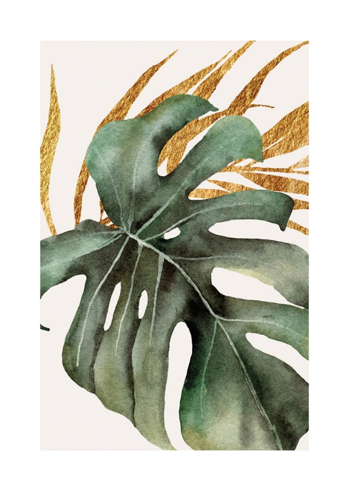 Leaves