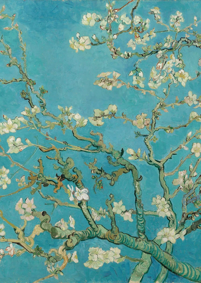 Almond Blossoms