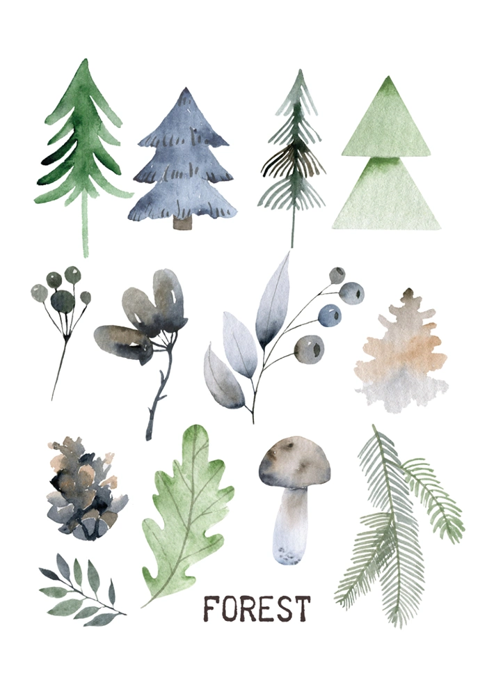 Forest