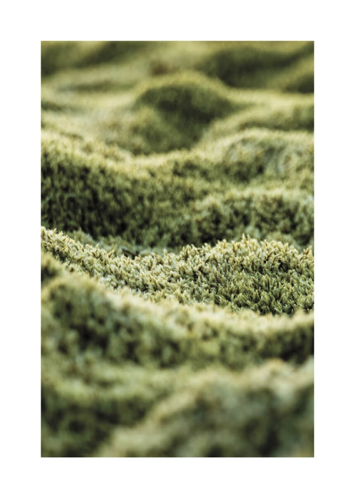 Grüner Teppich