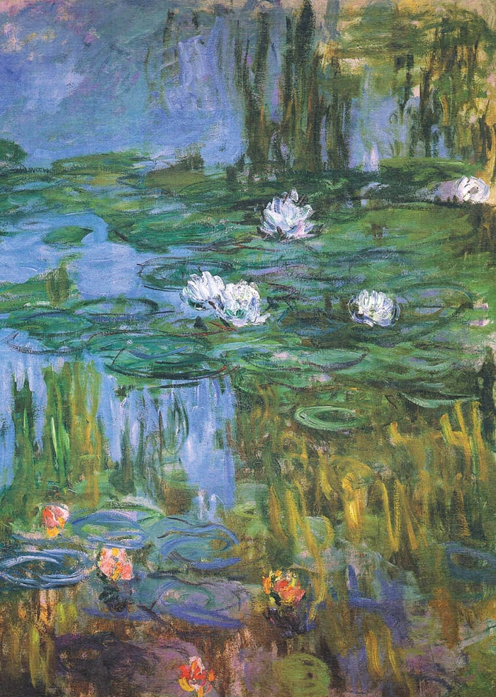 Water-Lilies
