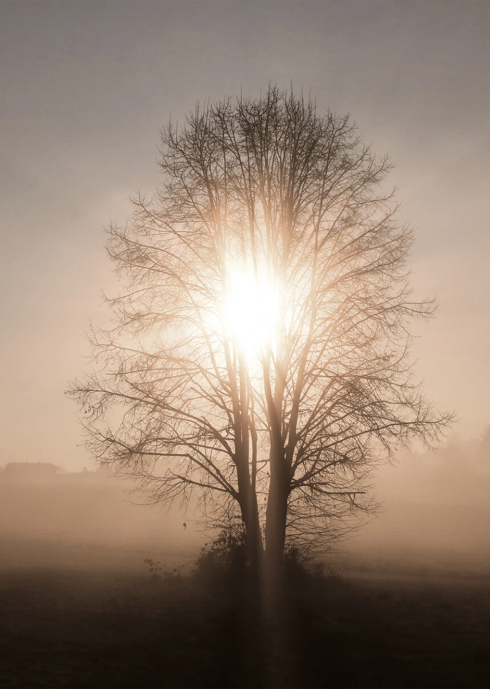 Die Sonne