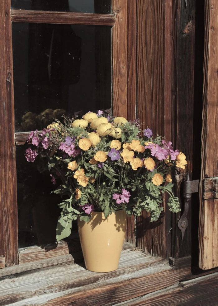 Blumen