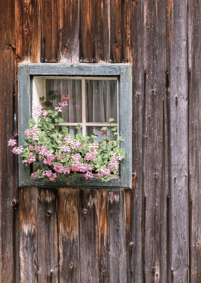 Fenster