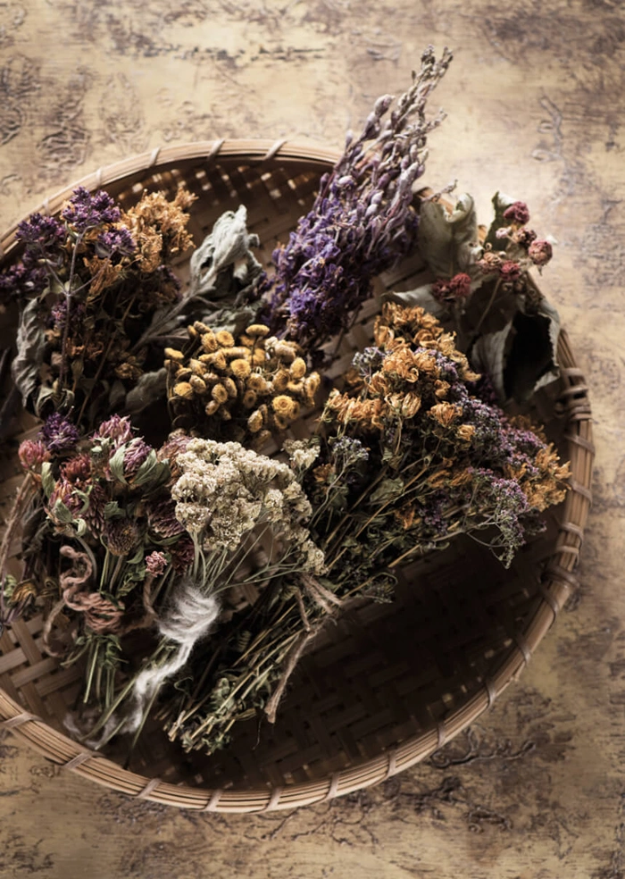 Getrocknete Blumen