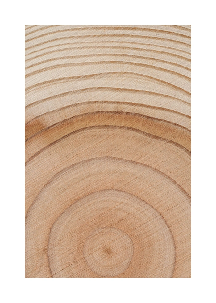 Holz